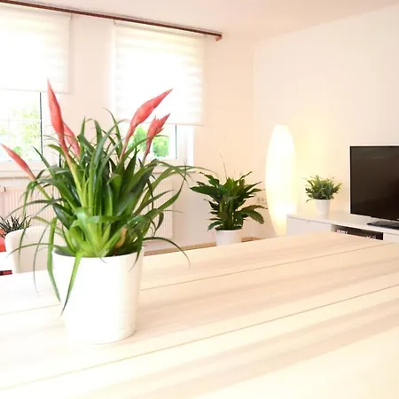 #hoenepartment - Timeout Waldhessen - Bis Zu 8 Pers. Honebach