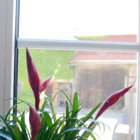 #hoenepartment - Timeout Waldhessen - Bis Zu 8 Pers. Apartmán *