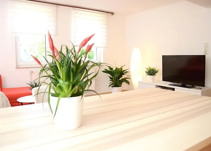 #hoenepartment - Timeout Waldhessen - Bis Zu 8 Pers. Honebach