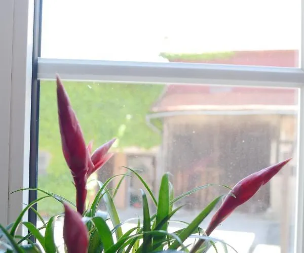 #hoenepartment - Timeout Waldhessen - Bis Zu 8 Pers. Daire *